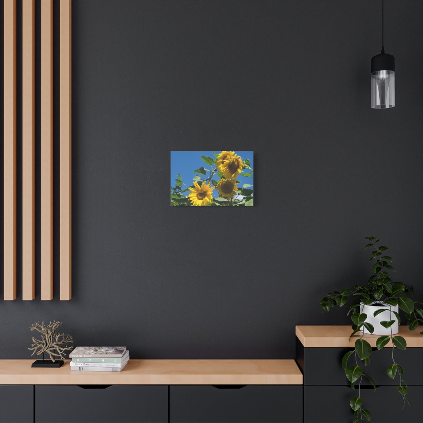 Sunflower Trio Matte Canvas Wall Art - Stretched 1.25"
