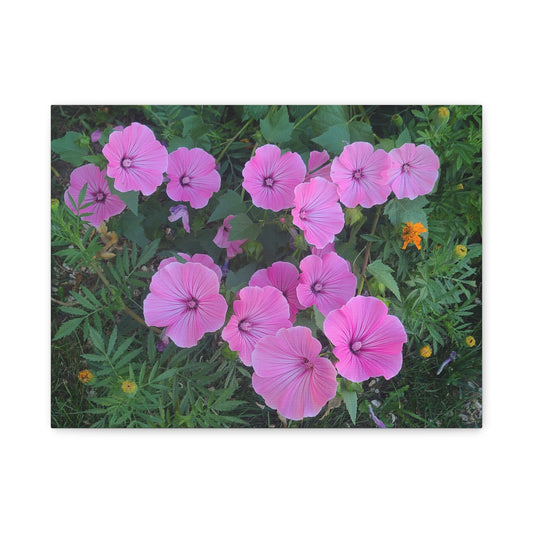 Pink Wildflower Canvas Print — Matte Stretched Floral Wall Art