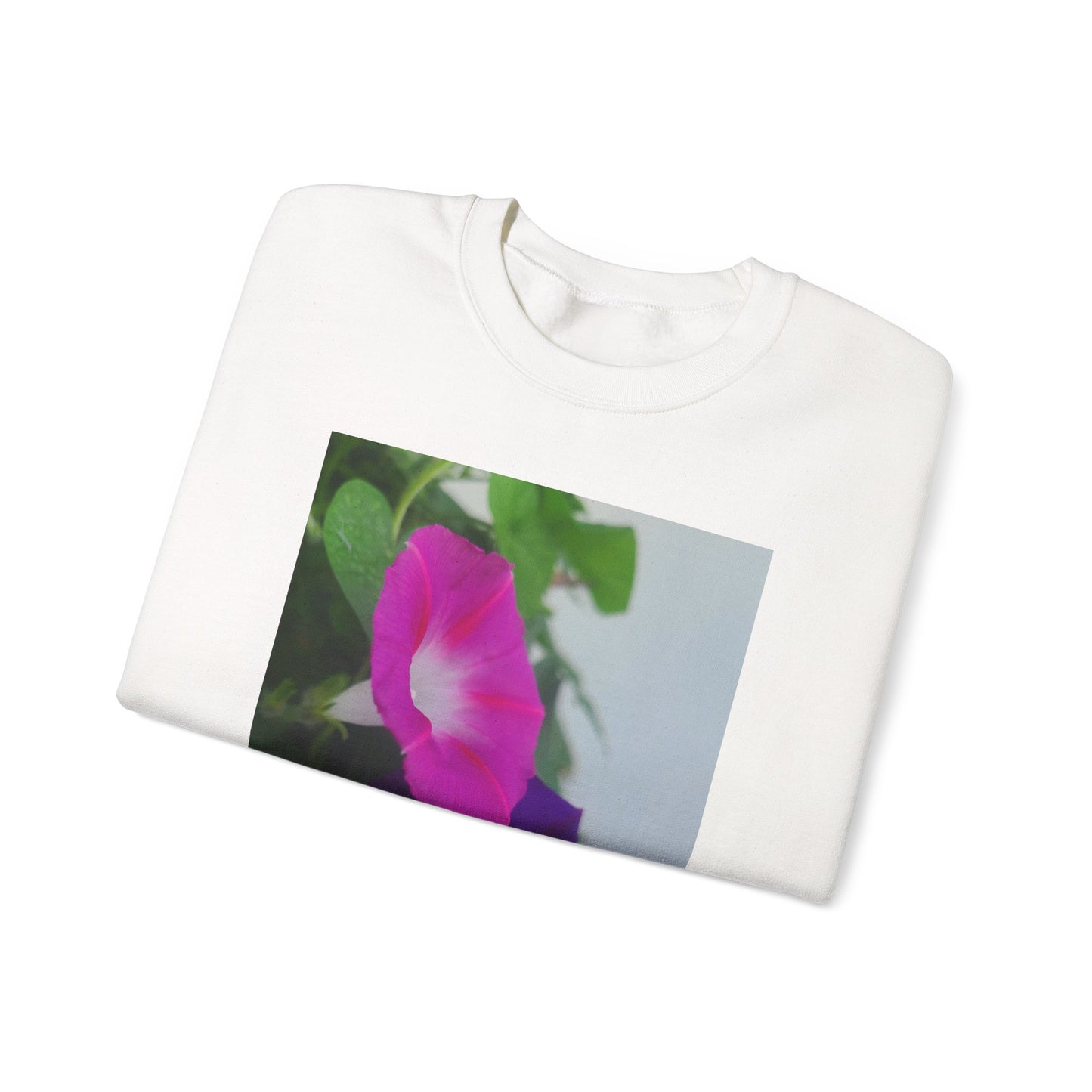 Morning Glory Floral Sweatshirt — Pink & Purple Flower Crewneck