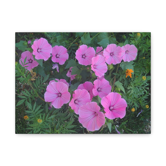 Pink Wildflower Canvas Print — Matte Stretched Floral Wall Art