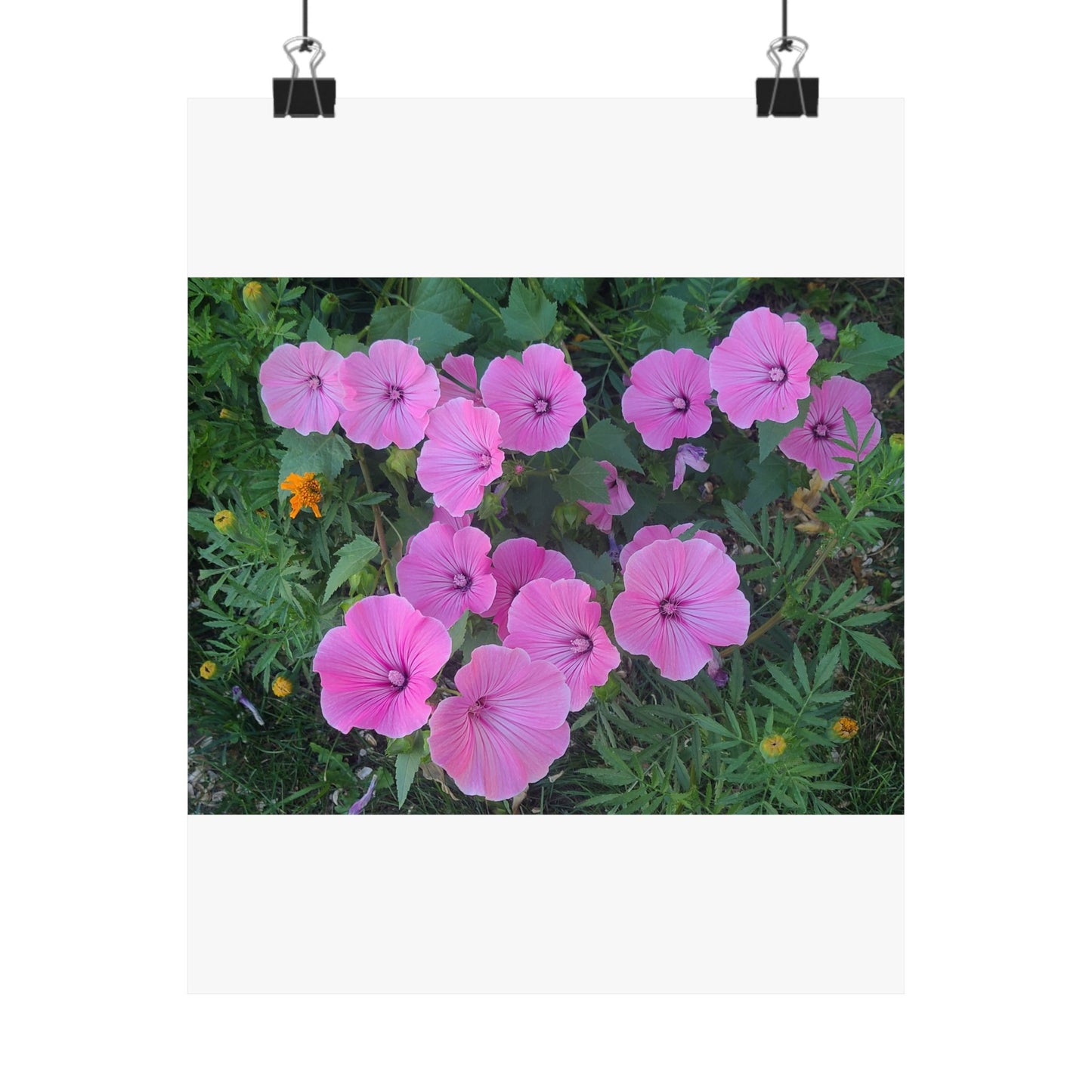 Pink Wildflower Matte Poster — Vertical Botanical Wall Art