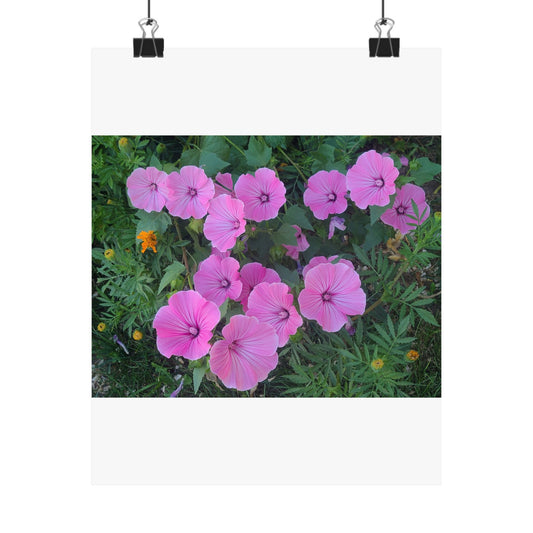 Pink Wildflower Matte Poster — Vertical Botanical Wall Art